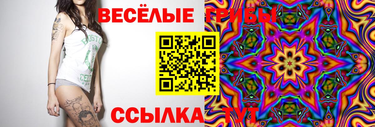 Галлюциногенные грибы Psilocybine cubensis  Вход с VPN  Кушва 