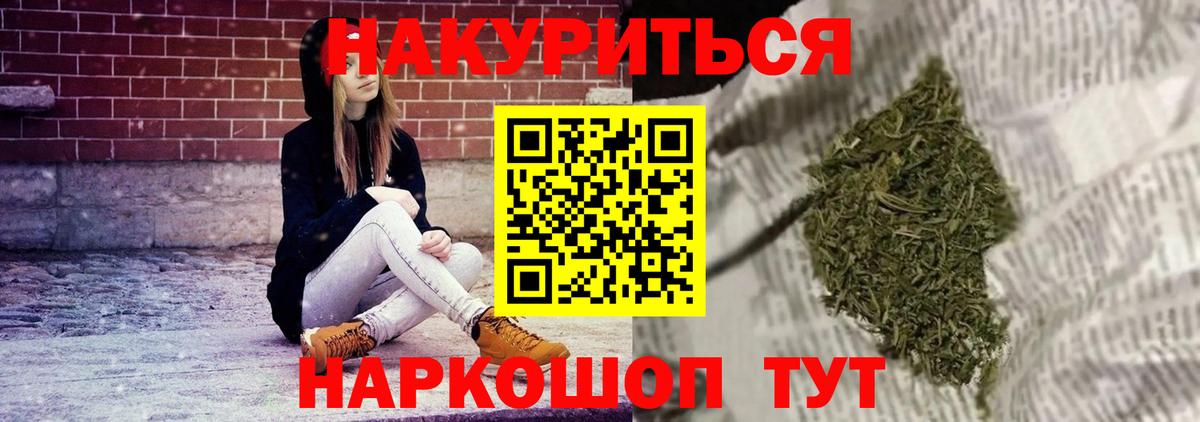 Конопля сатива Кушва